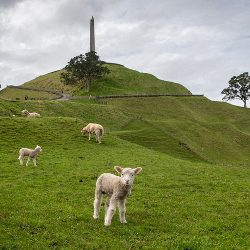 Lifestyle Photography Auckland